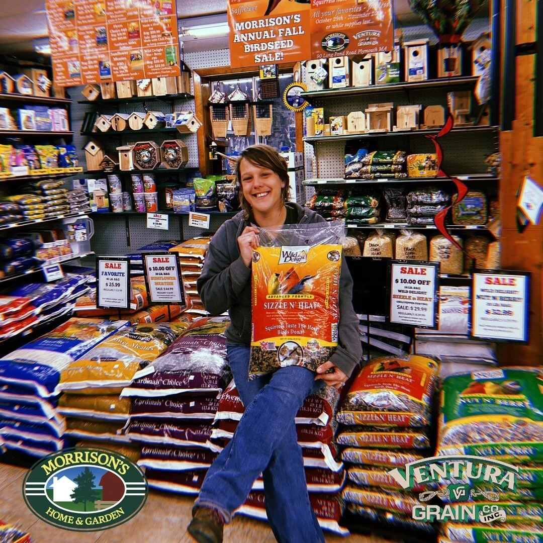 Morrisons Garden Supply Plymouth Ma Fasci Garden