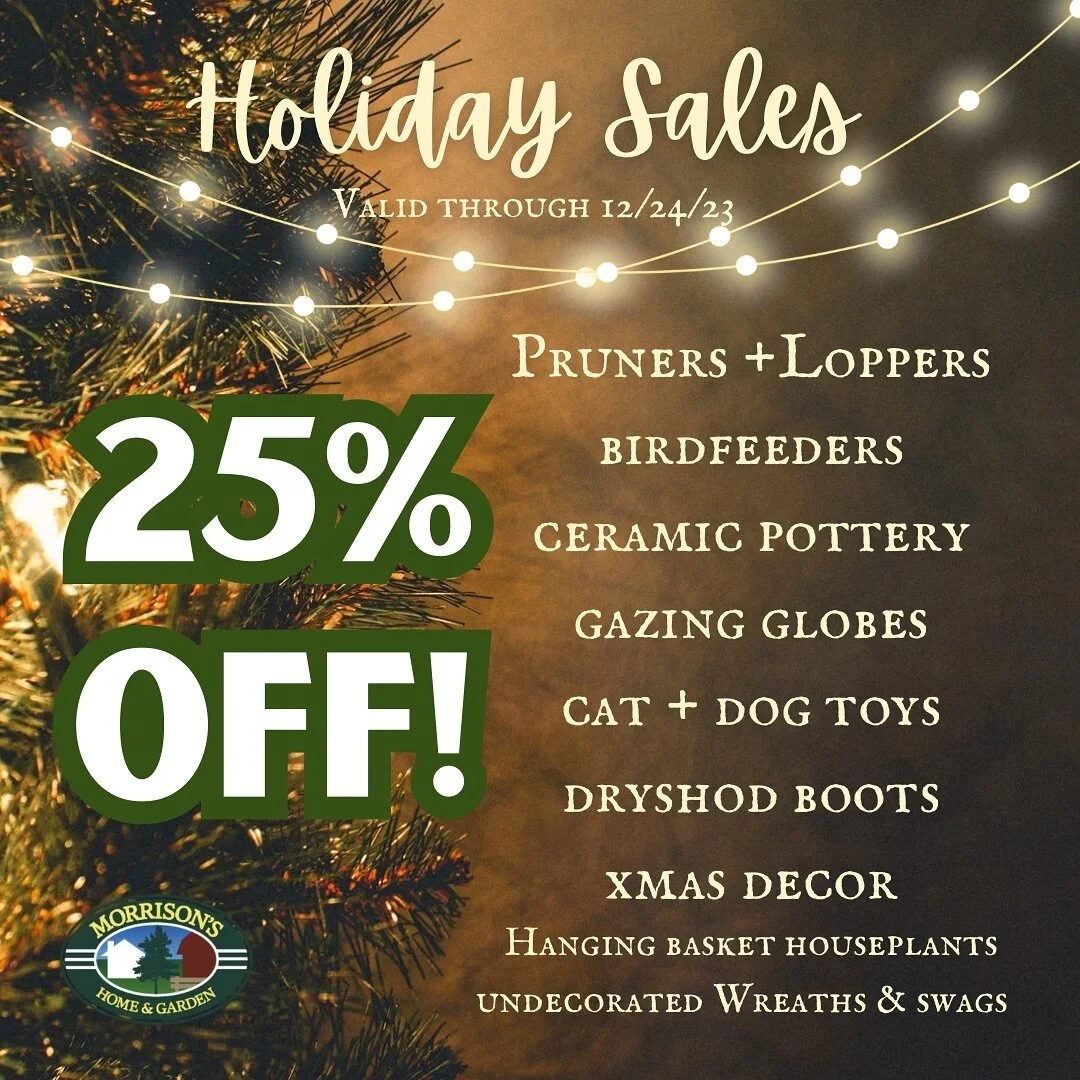 Morrisons Garden Supply Plymouth Ma Fasci Garden