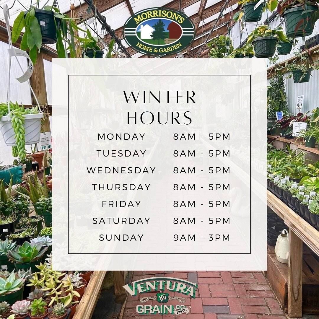 Morrisons Garden Center Fasci Garden