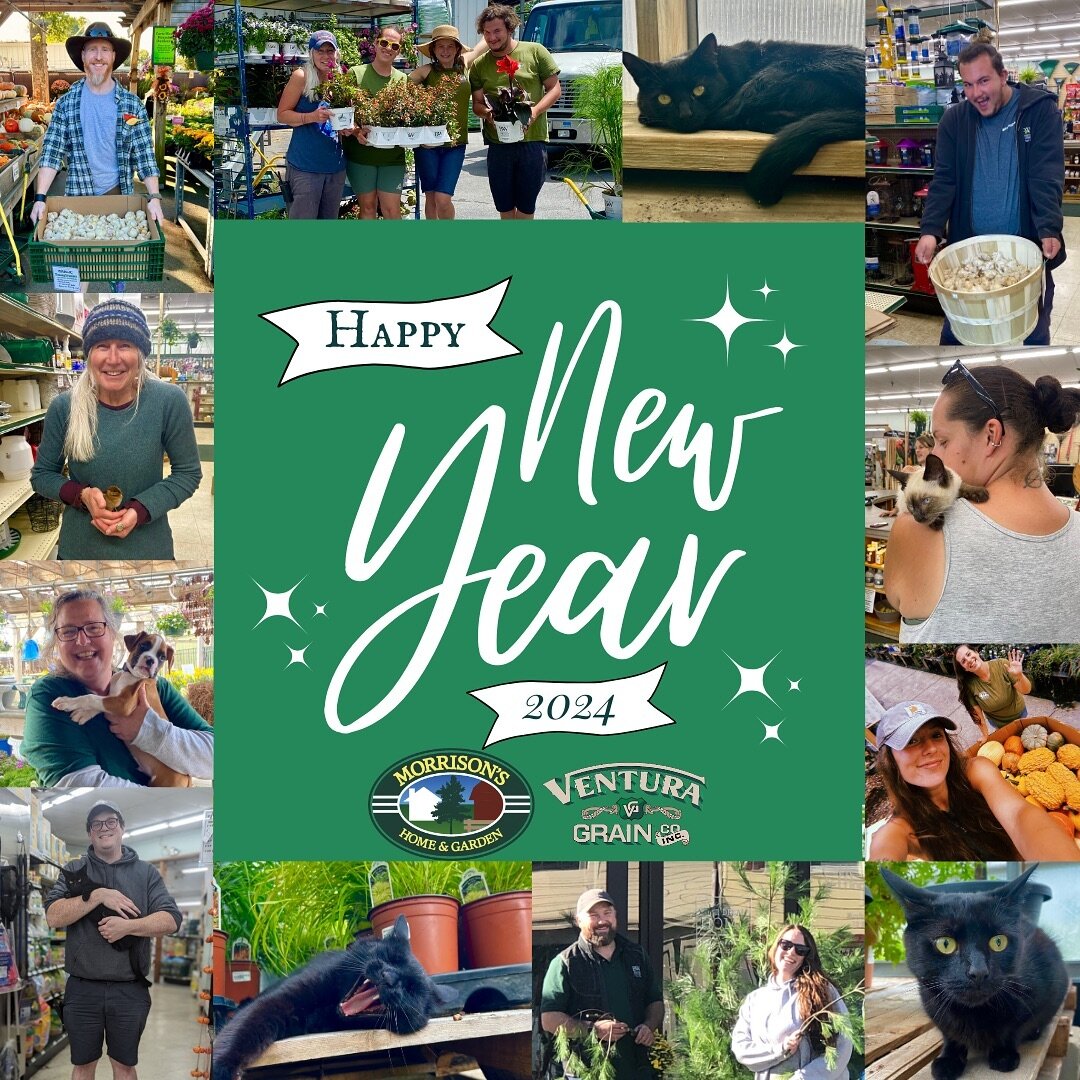 Morrisons Garden Center Fasci Garden