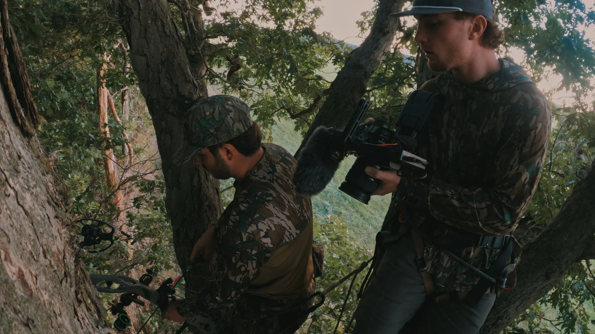 Still 2024-09-19 170600_2.38.1.JPG