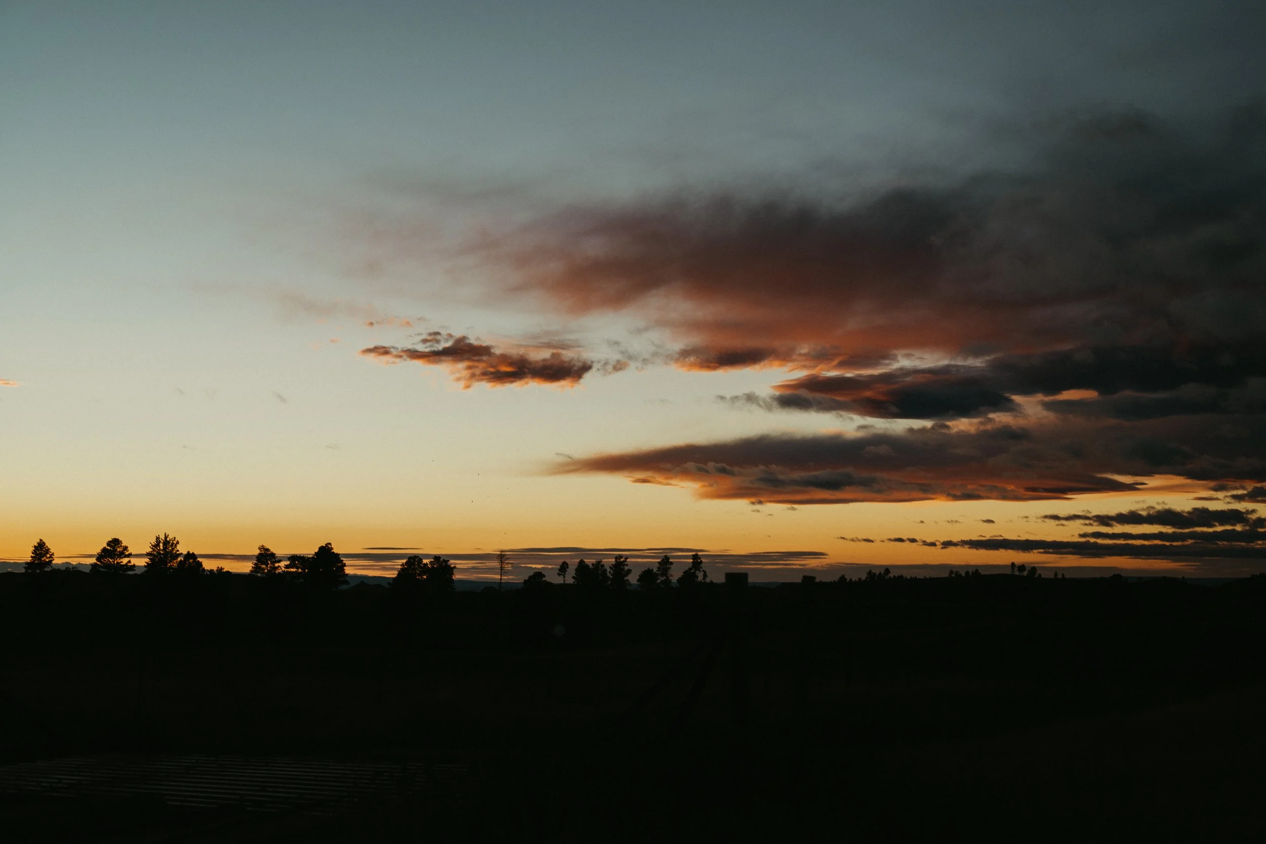 _MG_0727.jpg