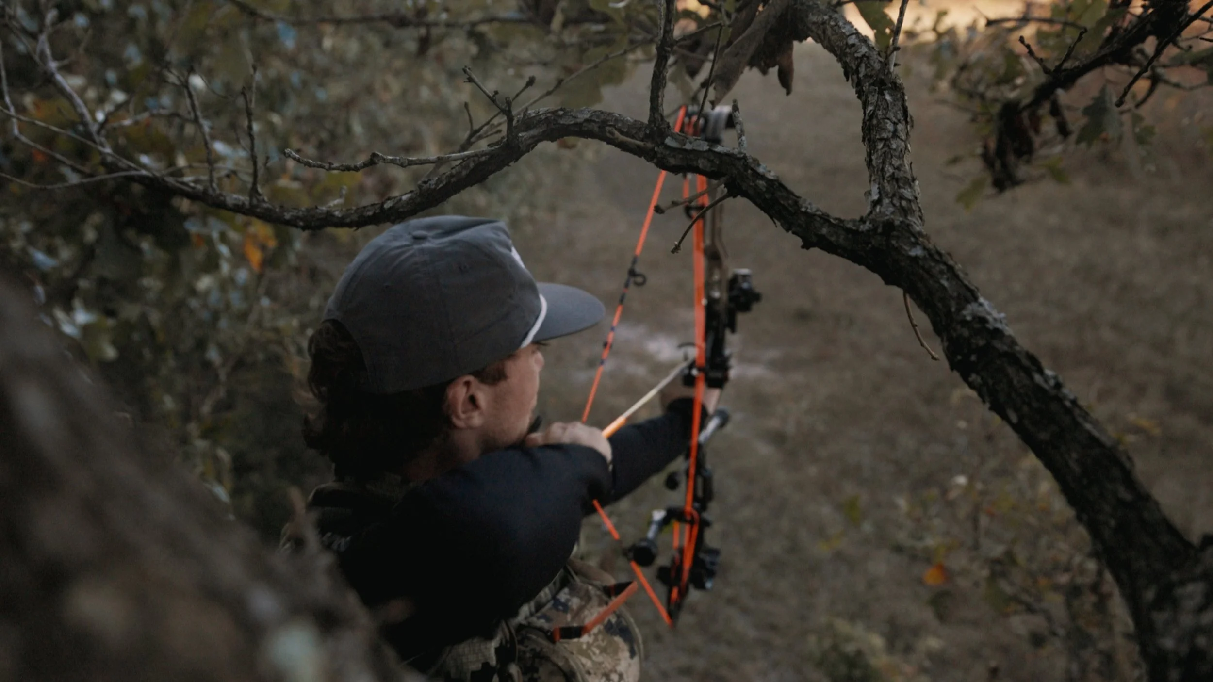 Still 2024-10-12 133800_2.14.1.JPG