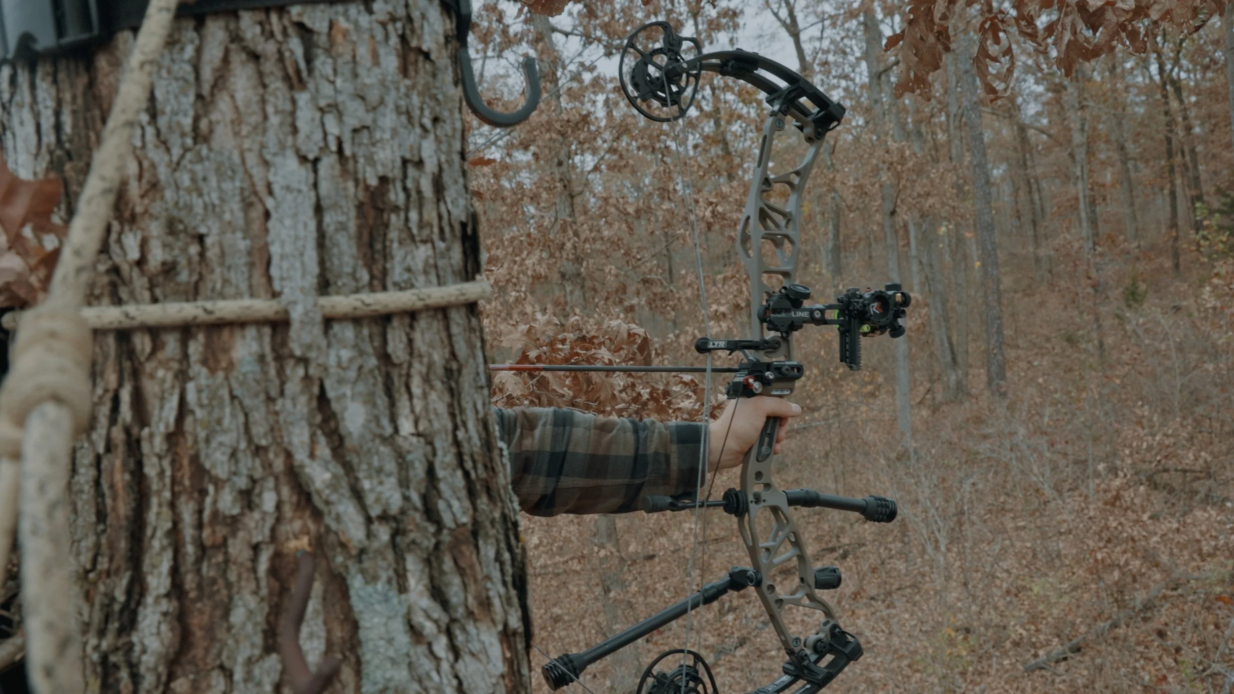 Still 2024-11-12 142902_2.34.1.JPG