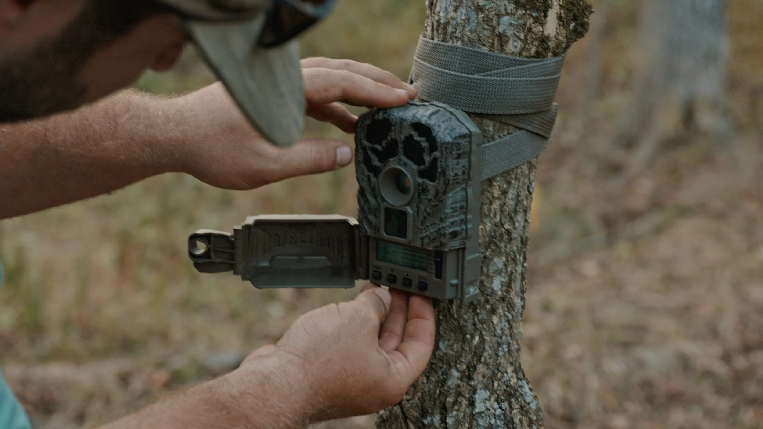 Still 2024-10-12 133800_1.40.2.JPG