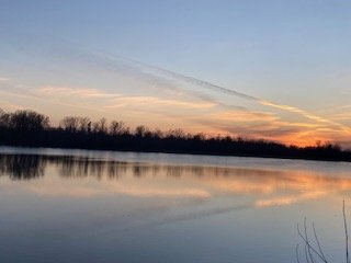 IMG_2242.jpg