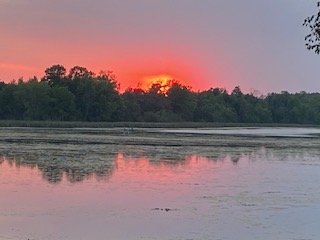 IMG_6030.jpg