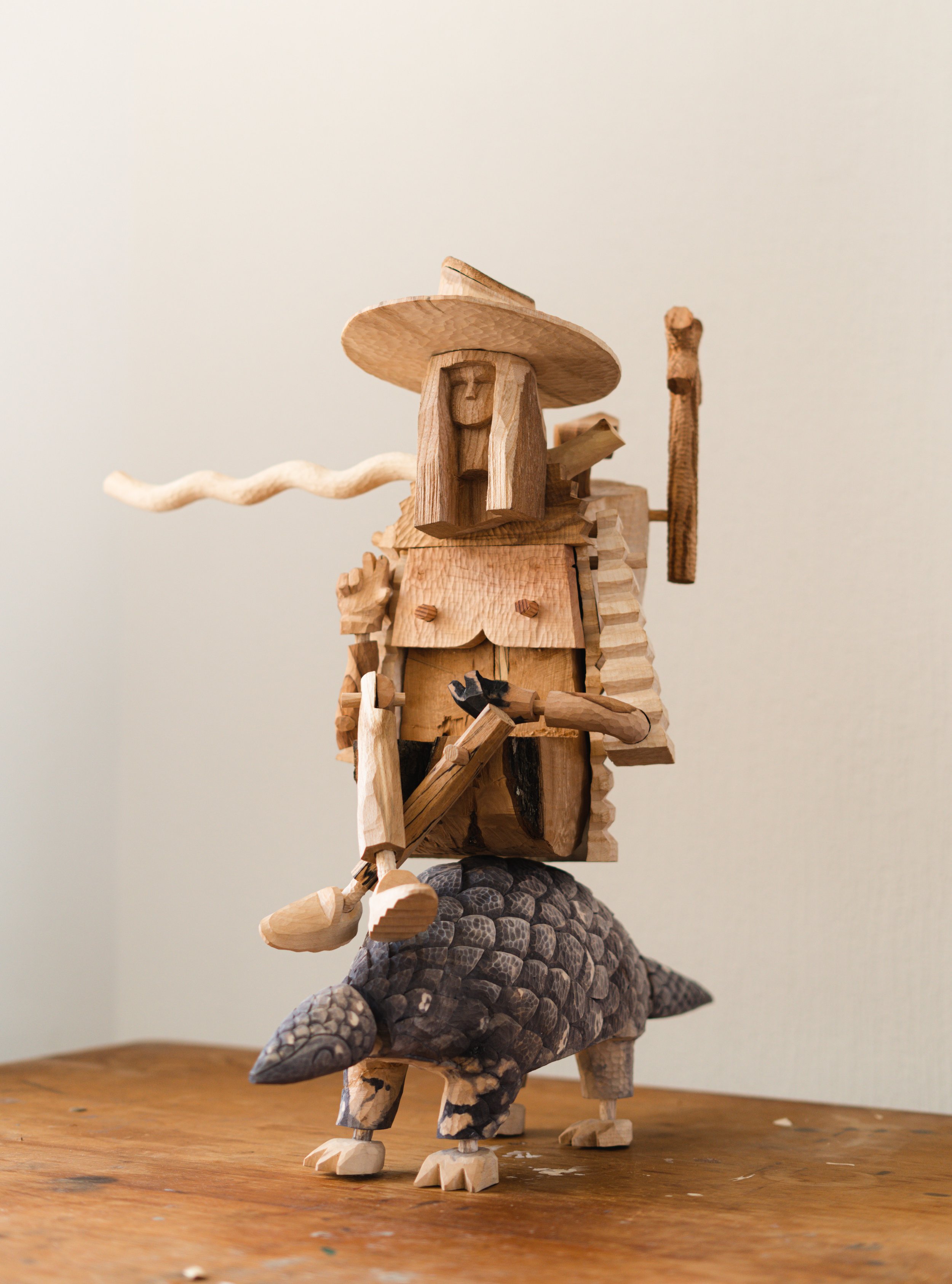 Amazonian Explorer