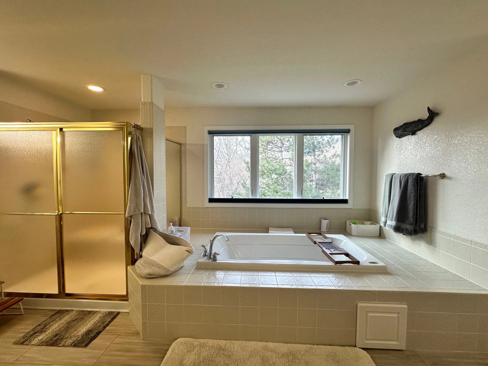  Before Bathroom - Ken Caryl Littleton CO  