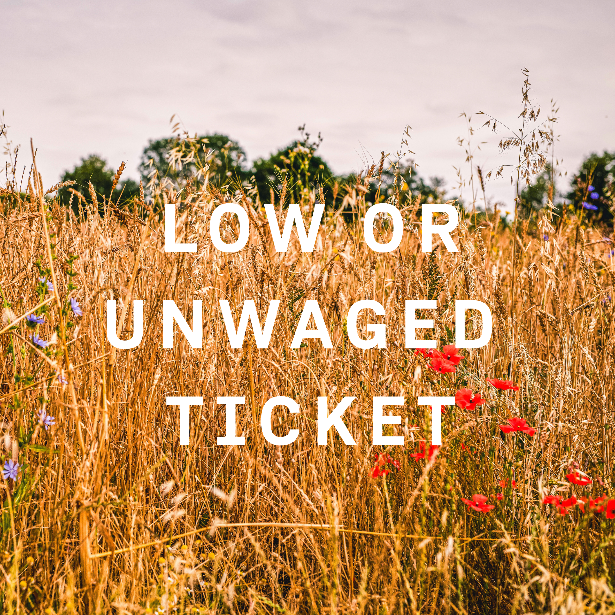 LOW OR UNWAGED TICKET - Irish Grain Network Gathering - Sunday 8th November 2026