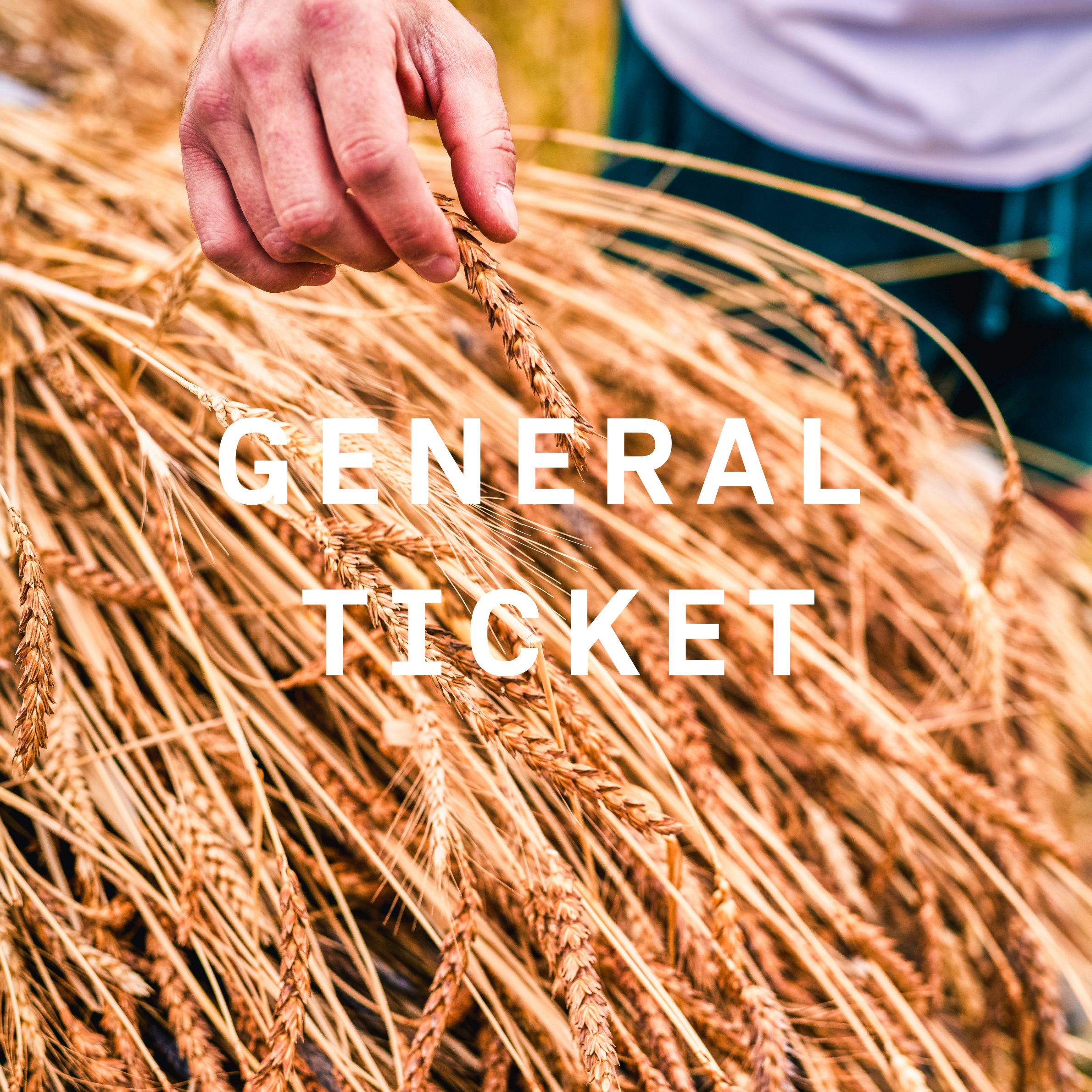 GENERAL TICKET - Irish Grain Network Gathering - Sunday 8th November 2026