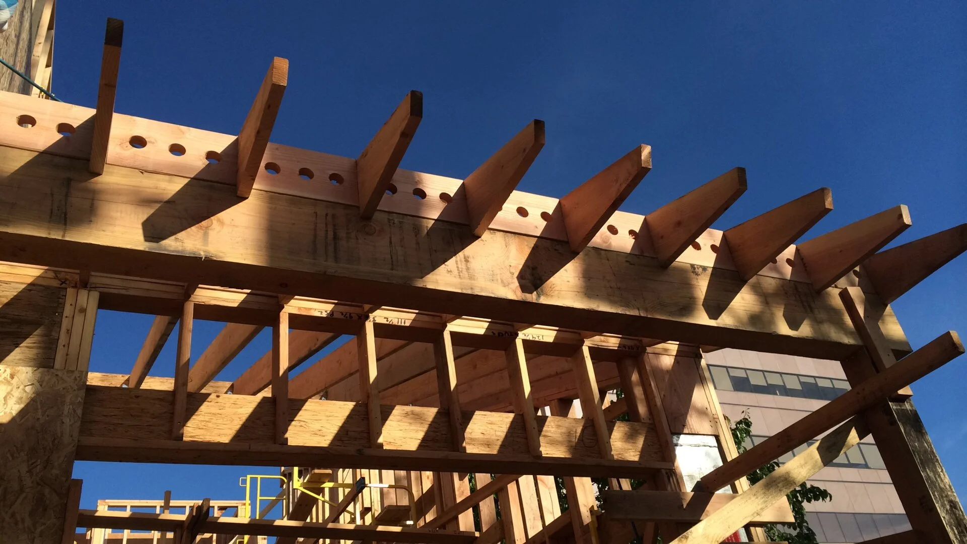 Wooden framing of a building under construction with multiple rafters and beams against a clear blue sky.