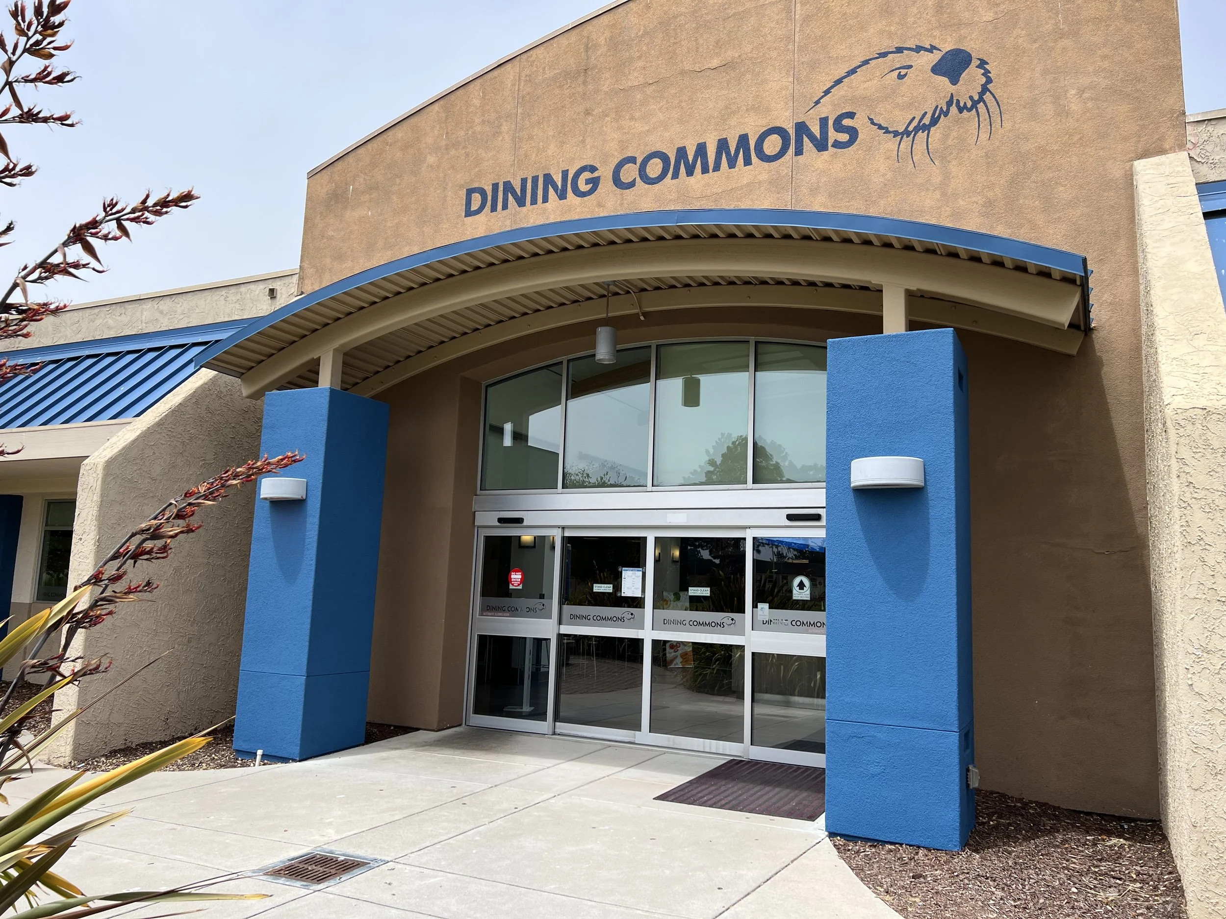 The entrance to a building labeled 'Dining Commons' with a bear logo, featuring glass doors framed by blue and beige walls, and landscaped surroundings.