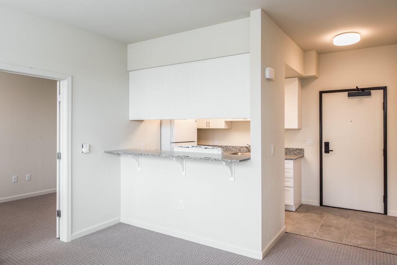 Interior view of an apartment with a kitchen and entry door, showing white walls, granite countertops, and beige carpeted flooring.