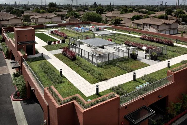 A rooftop community garden with walking paths, raised garden beds, a shaded seating area, and a children's play area, surrounded by residential houses.