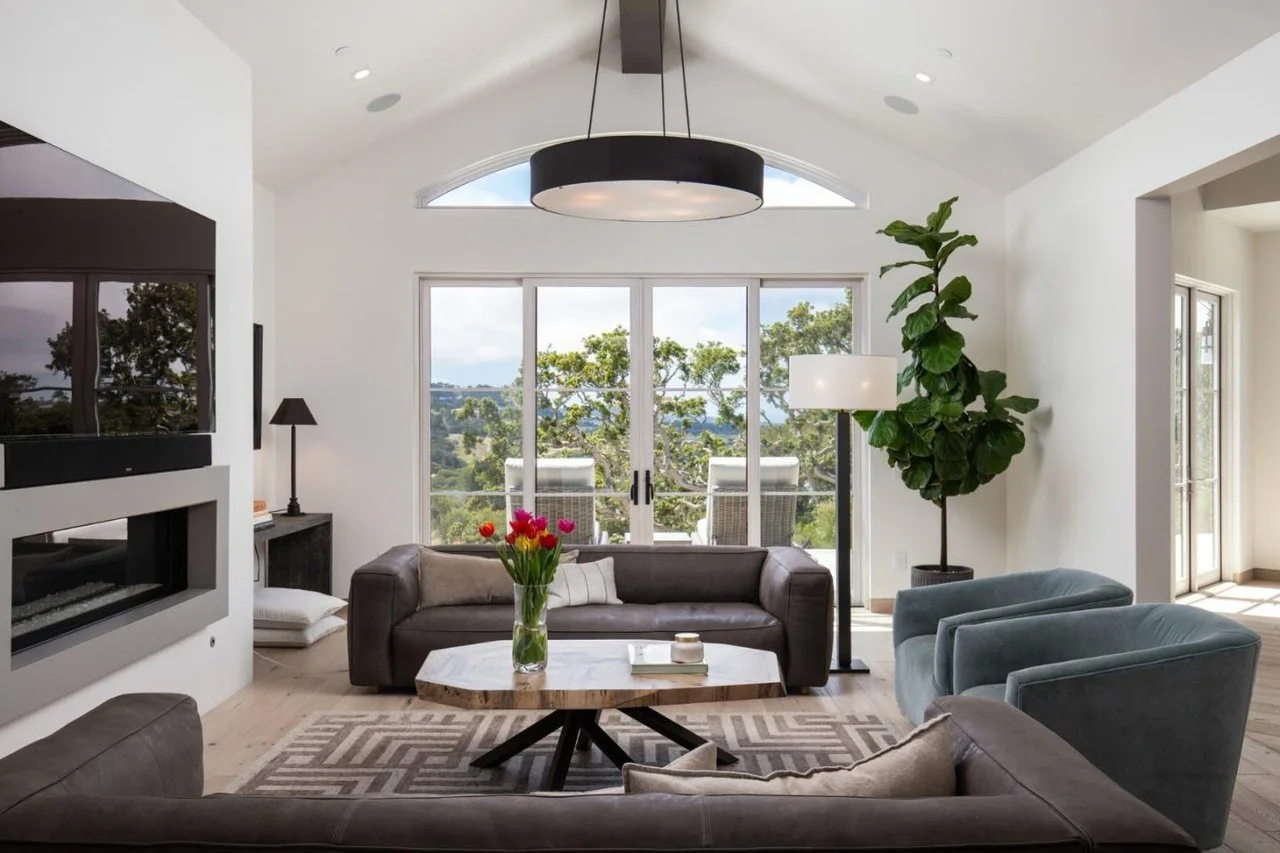 Living room with large window view, gray sofas, blue armchairs, a wooden coffee table with a vase of red and pink tulips, a modern fireplace, a black floor lamp, and a tall potted plant.