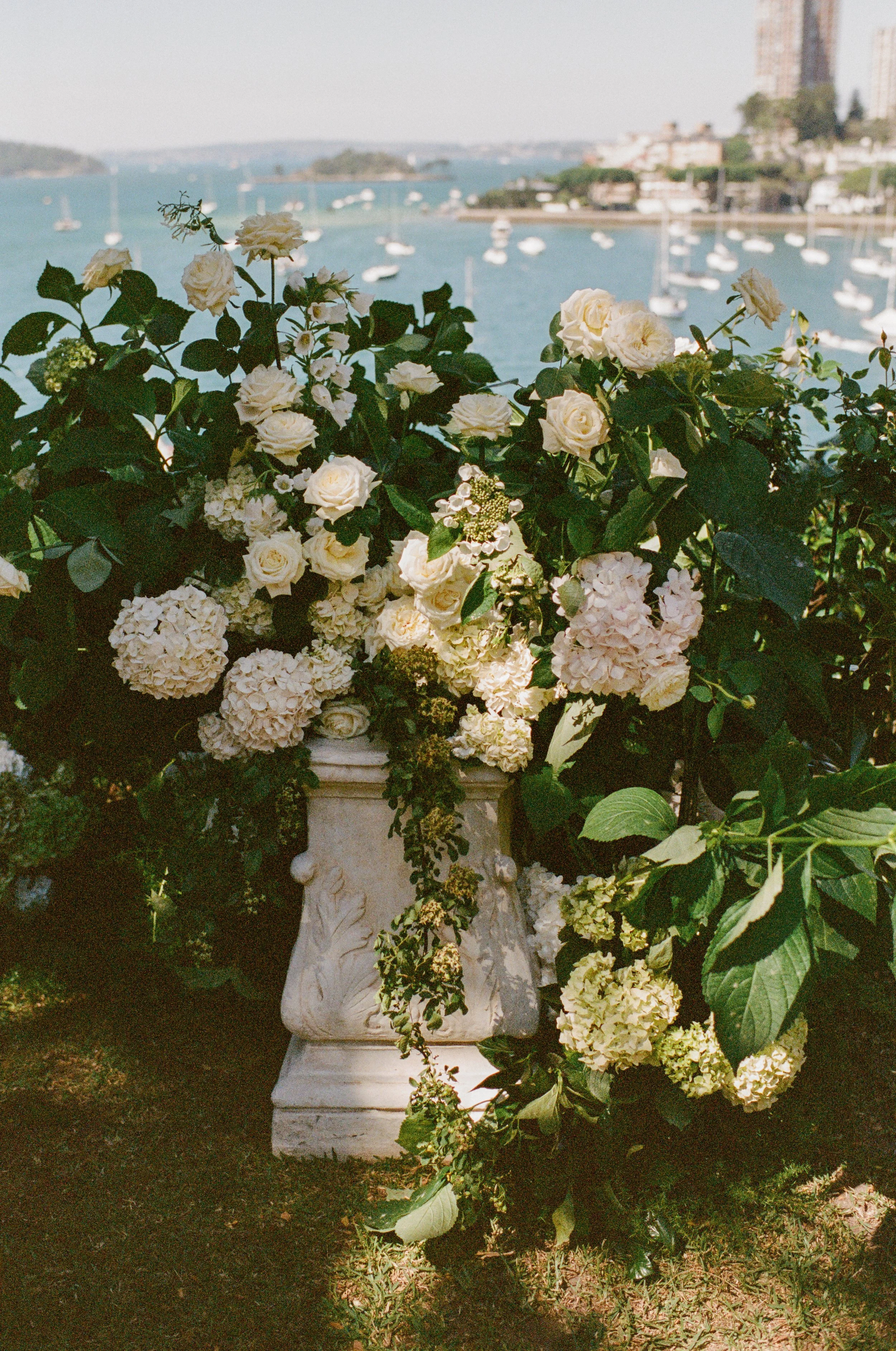 AnalogueC&S (24 of 65).jpg
