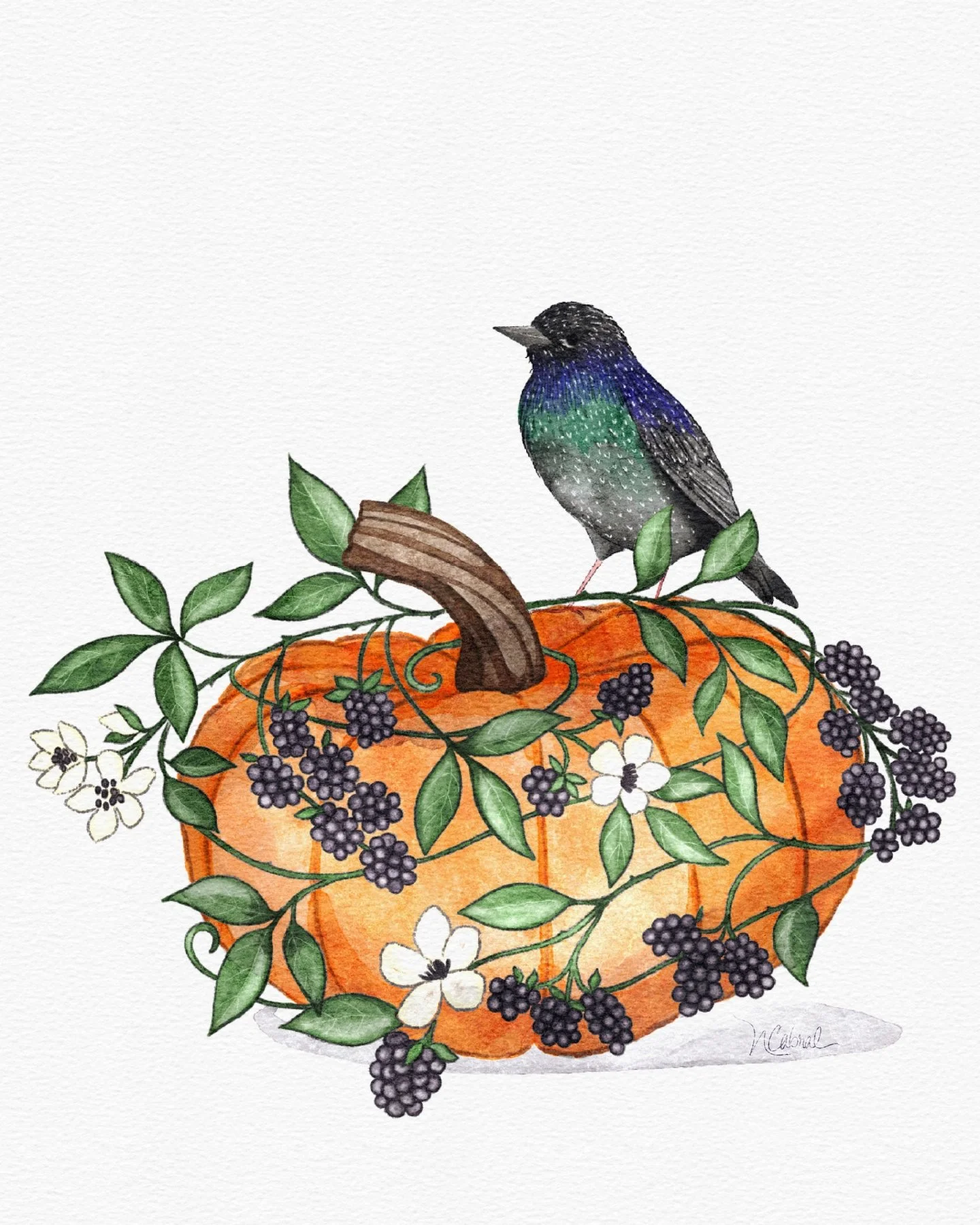 A little starling finally found his place to land. 🐦&zwj;⬛ 
I&rsquo;ve had this little guy sitting around in my collection, just waiting for the right project to come along. This week&rsquo;s #botanicalbeasties2026 Art challenge prompt, Starling + B