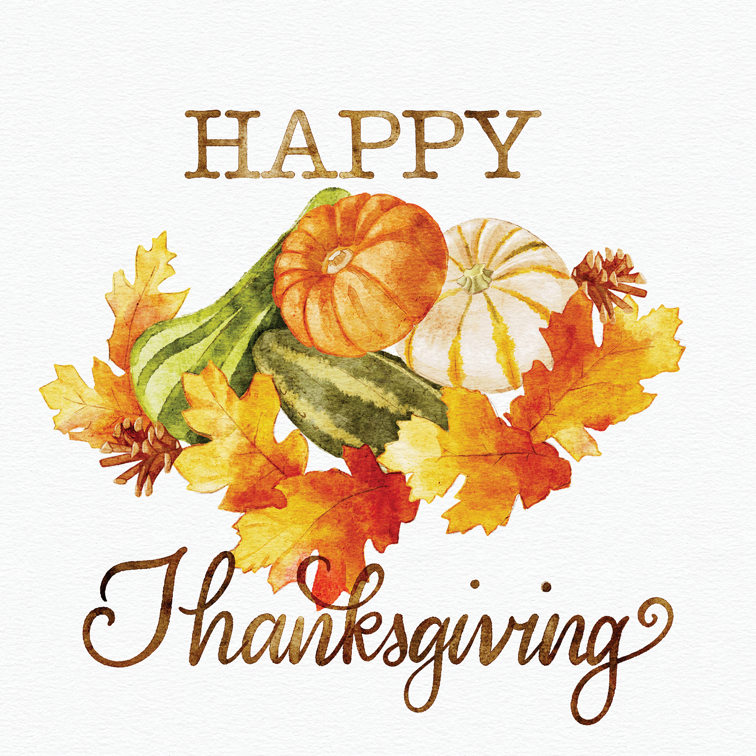 Thanksgiving Gourds