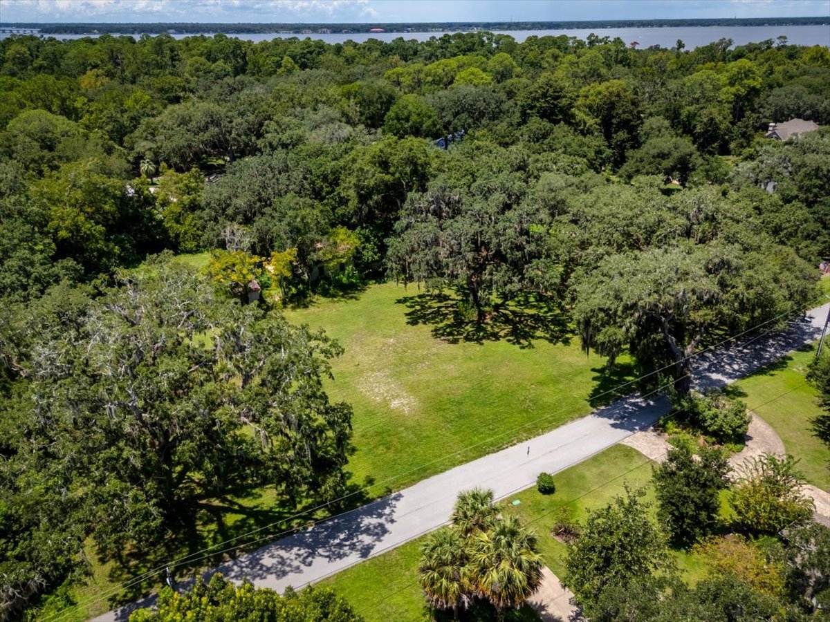 11666 Mandarin Terrace Rd almost an acre.jpg