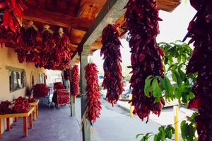 Living in Corrales: Village Life Just Outside Albuquerque