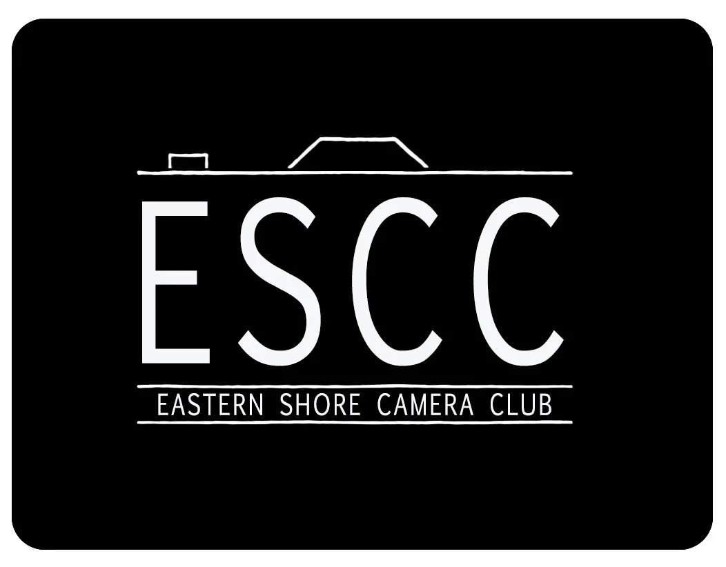 ESCC Logo Prototype Black.jpg