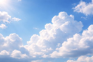  Best REALTOR in Port Washington for Sellers