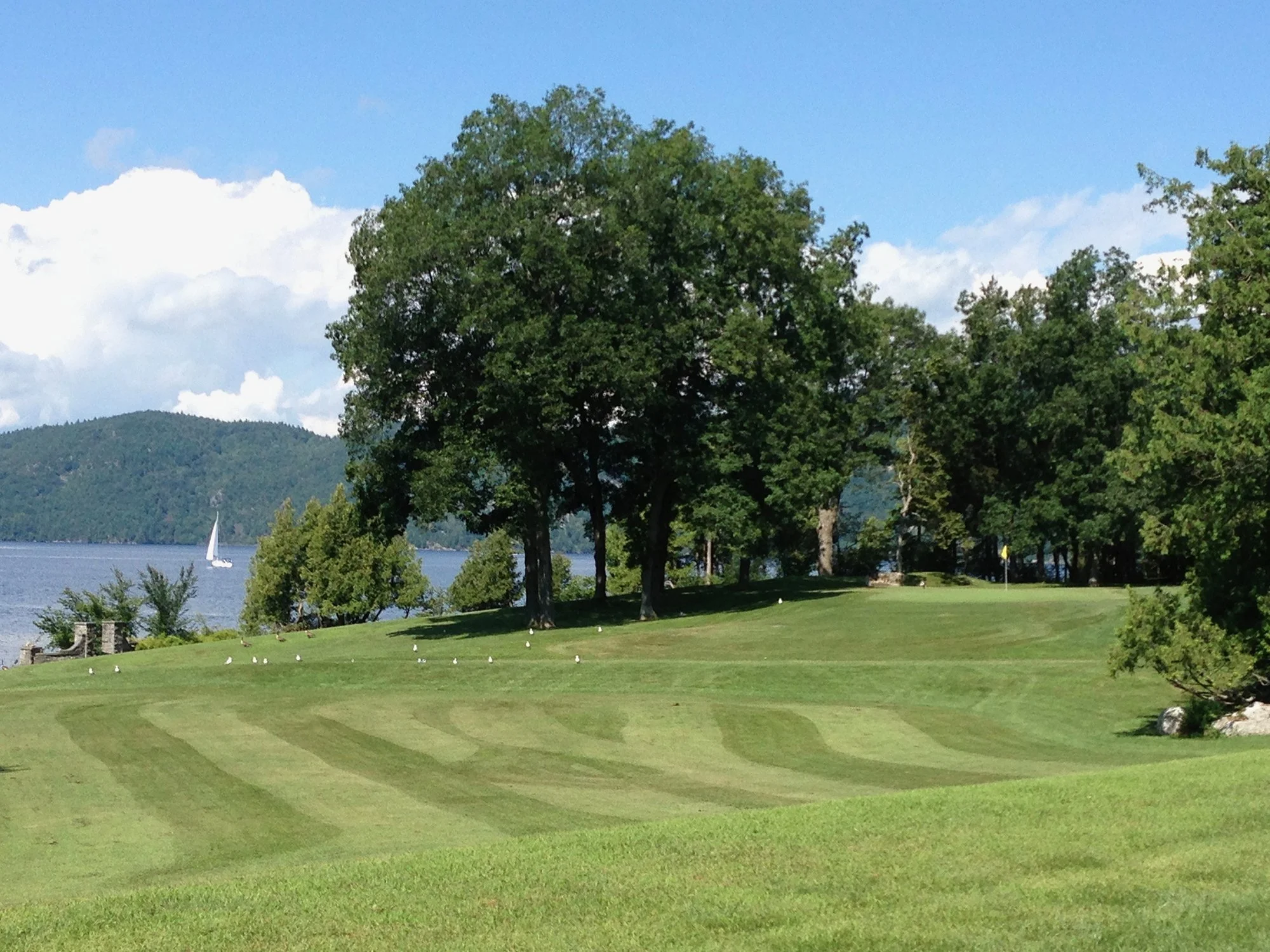 3-IMG_0892 (2)-alt.jpg