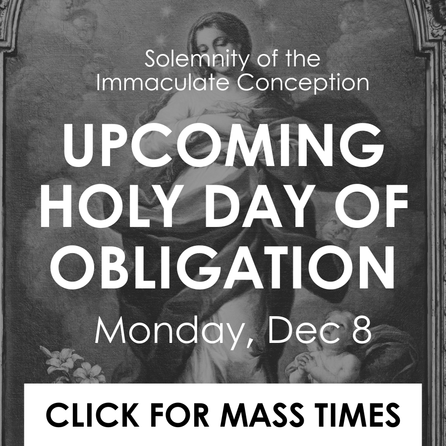 Solemnity of the Immaculate Conception of the Blessed Virgin Mary