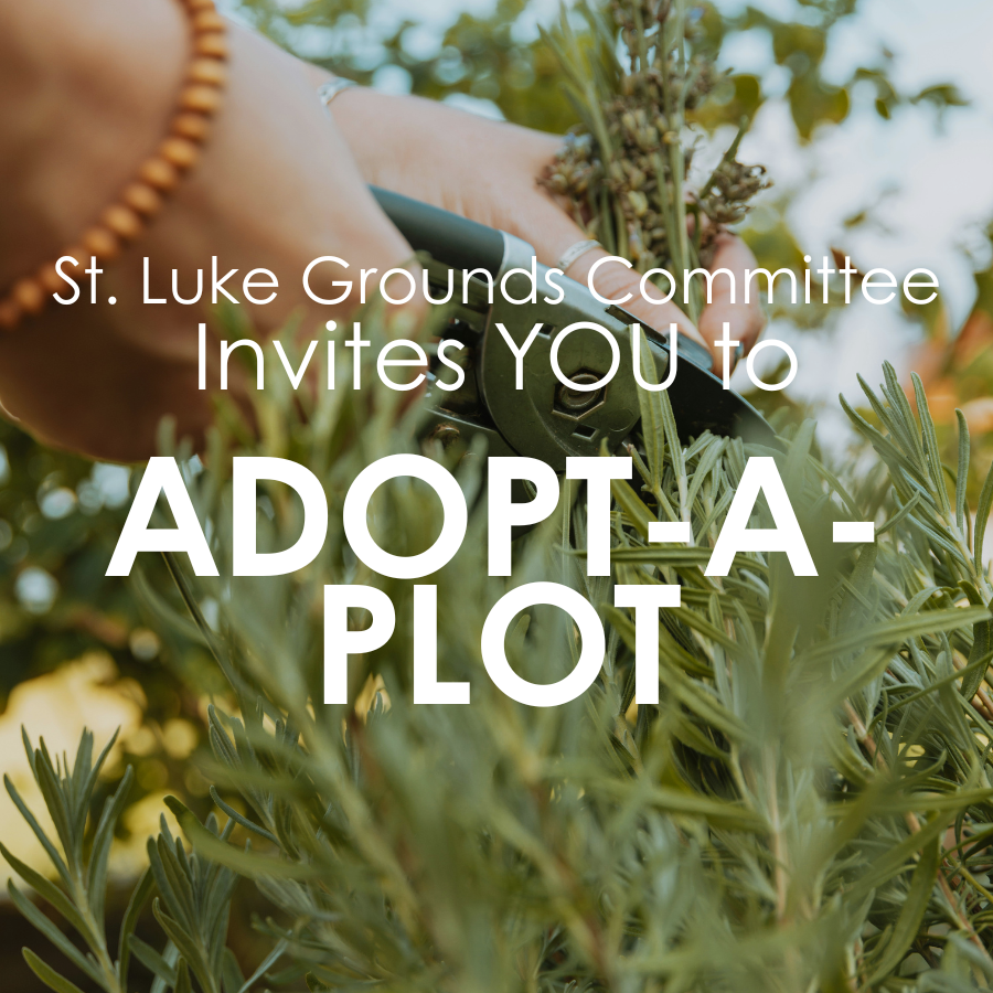 Adopt-A-Plot