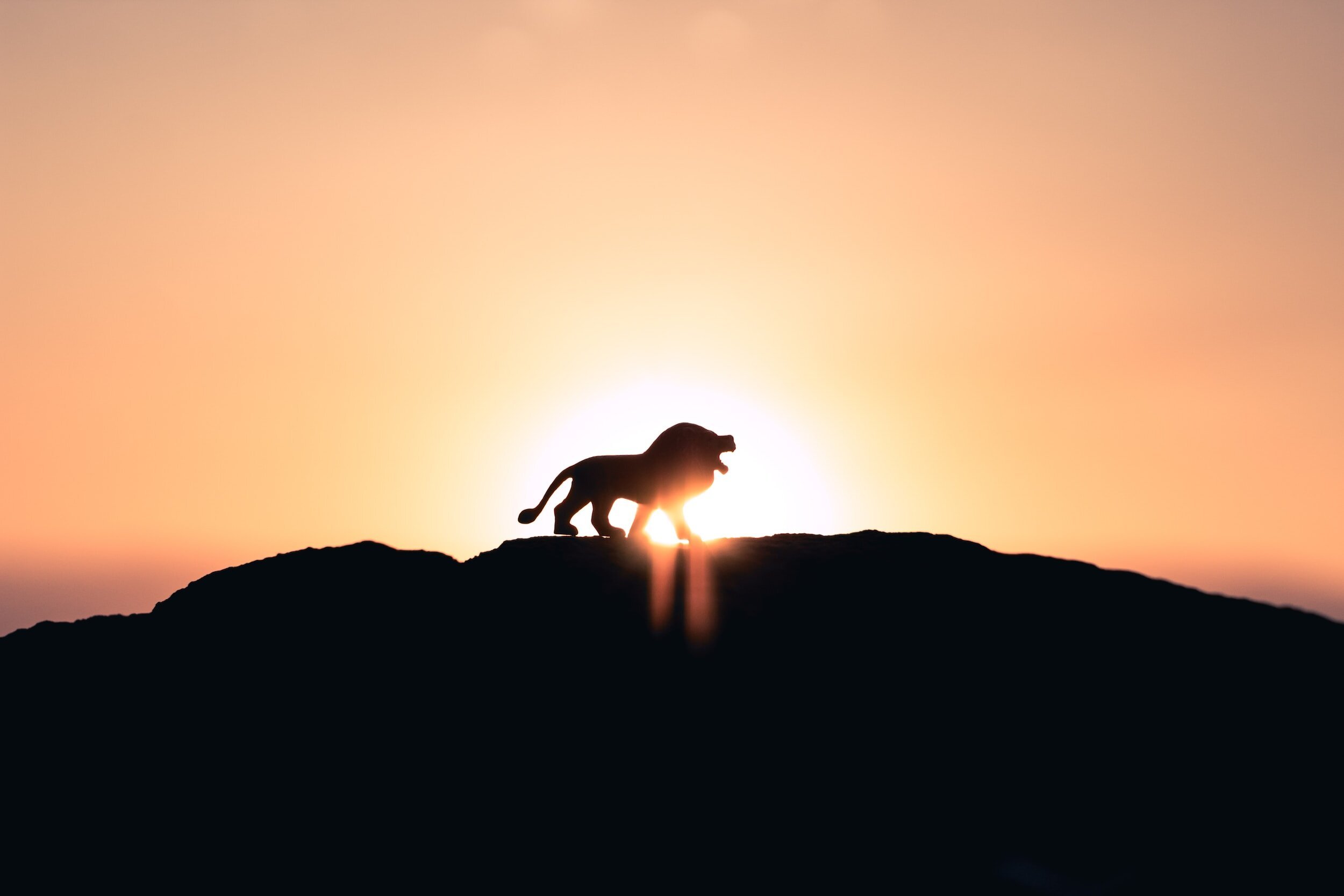 Don’t Fear Walking Alone
