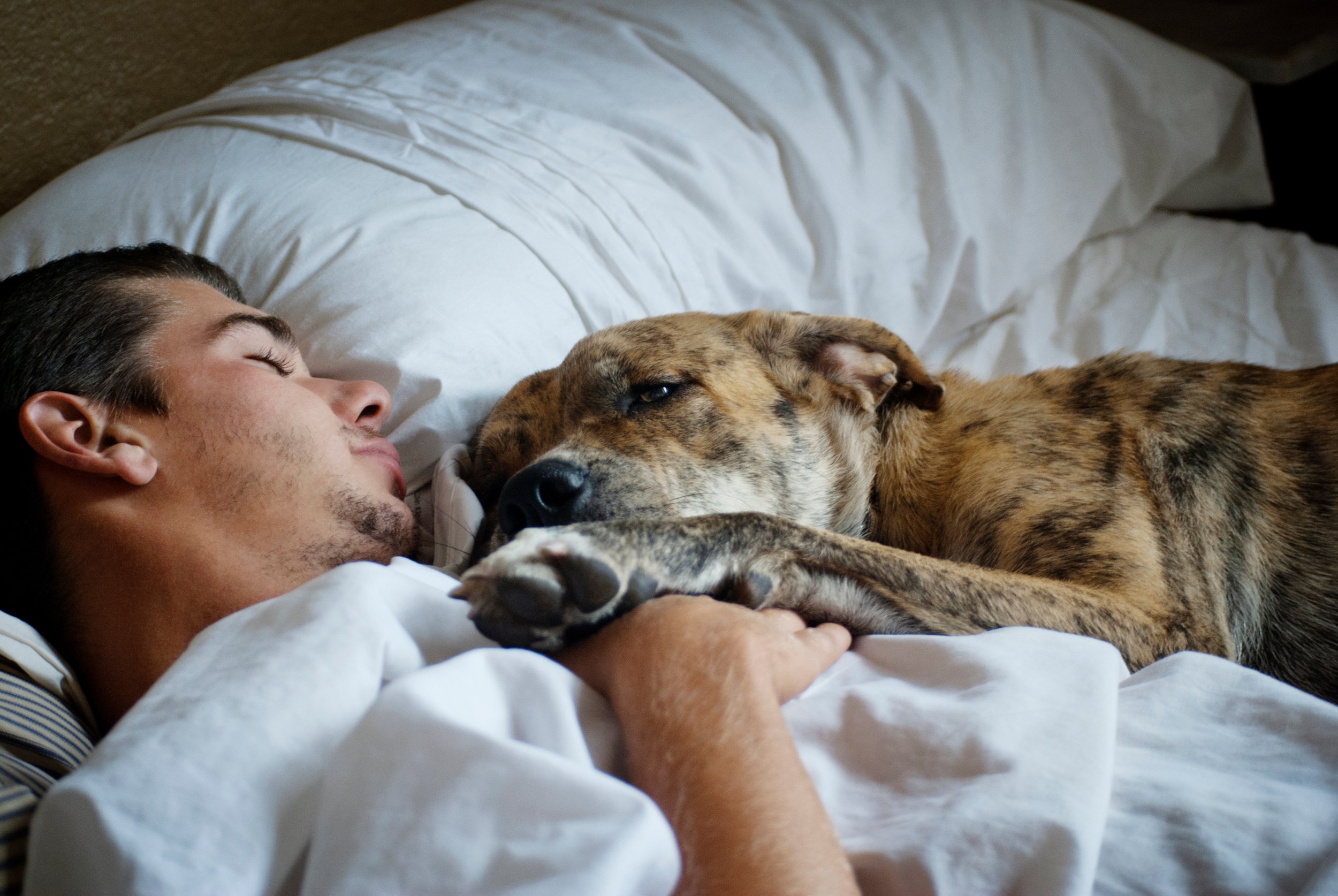Sleep Well, Live Well: The Power of Prioritizing Sleep