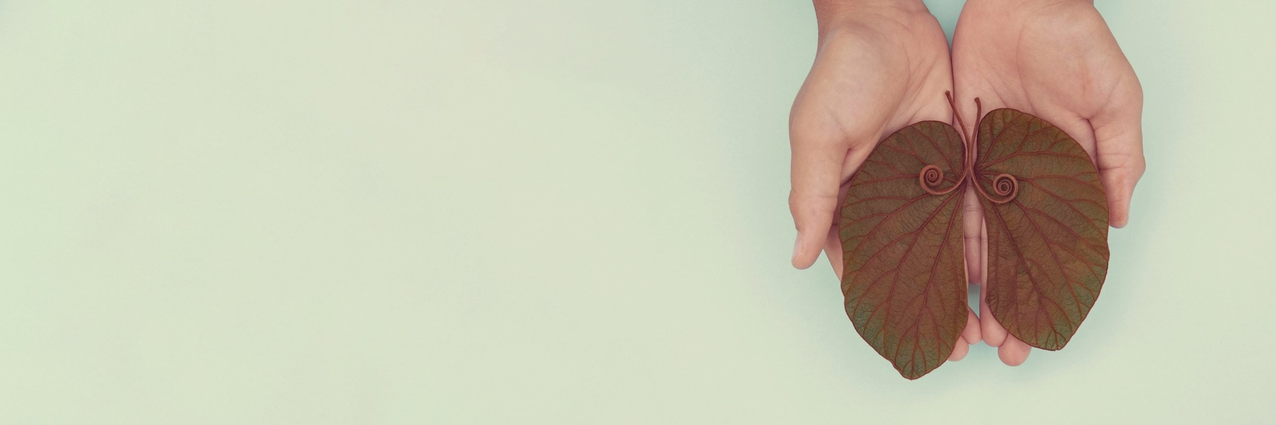 Breaking Free: Quit Smoking for a Healthier Life