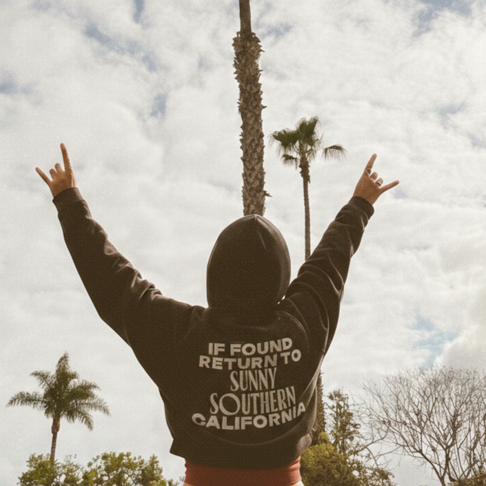 Person with a hoodie facing away, arms raised, pointing skyward, standing outdoors with palm trees and cloudy sky in the background.