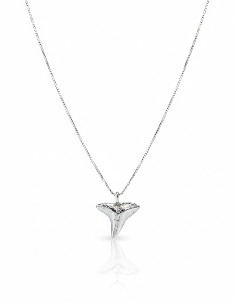 Apex - Sterling Silver Shark Tooth Necklace