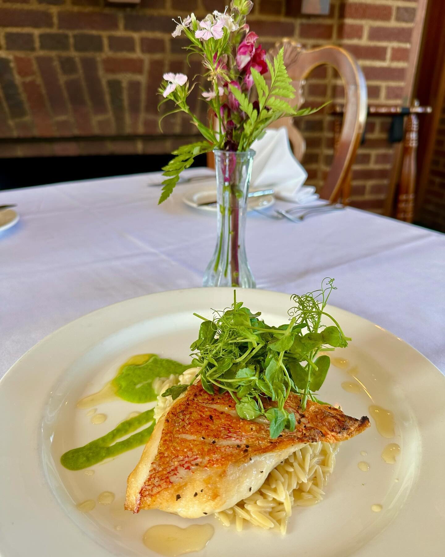 Red snapper weekend feature. Pan seared, topped with pea tendrils, nestled above creamy orzo, sweet pea pur&eacute;e and a &lsquo;snappy&rsquo; citrus gastrique. We&rsquo;re excited, and think you&rsquo;ll be also. Which style of white wine would you