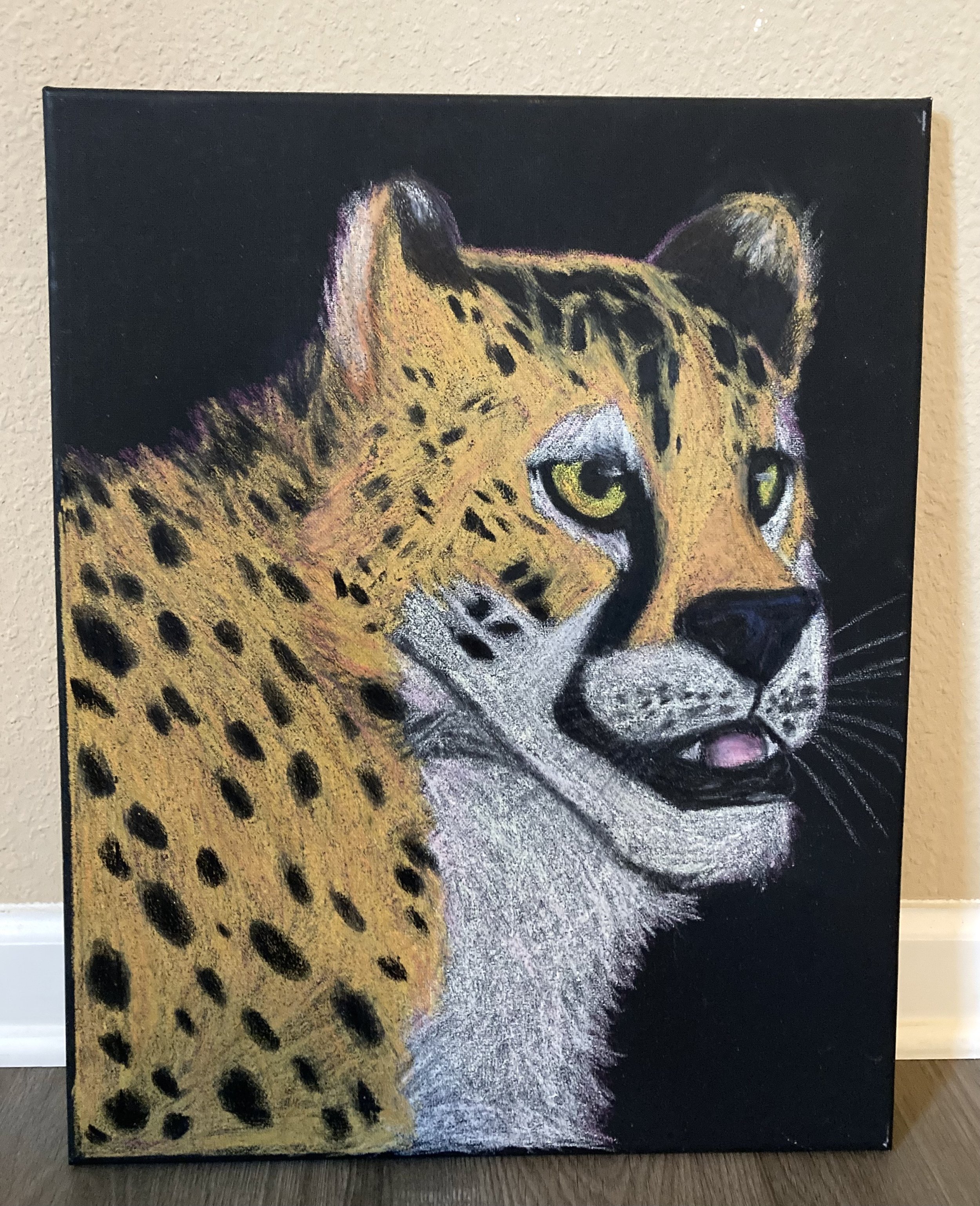 Cheetah Portrait