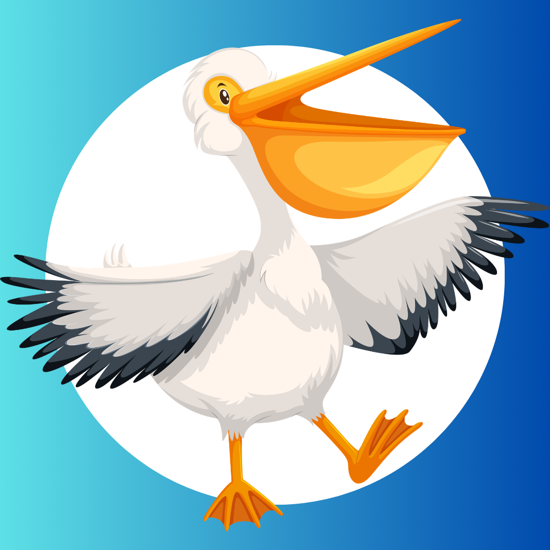 Pelican graphic