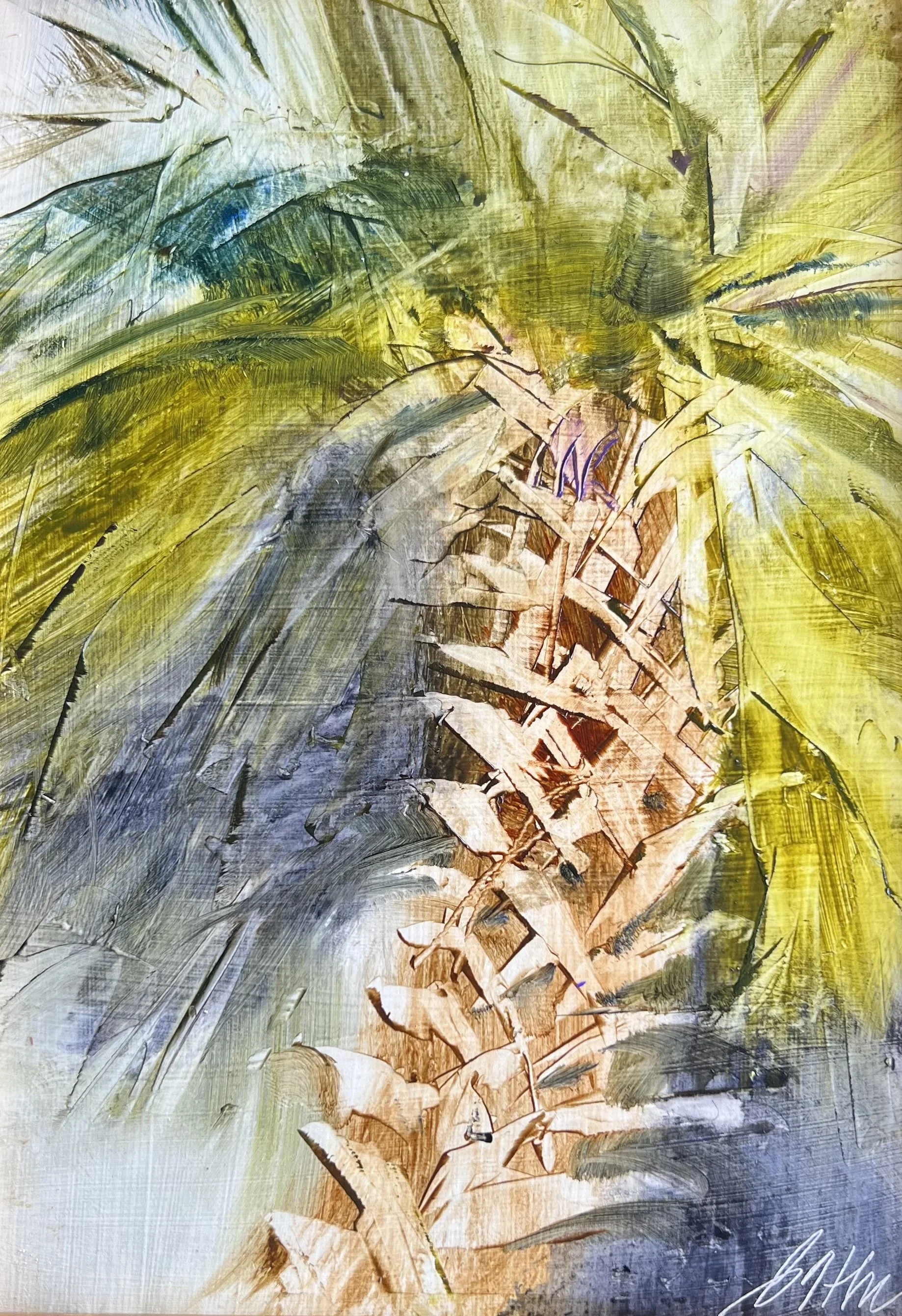 Lone Palm -- Beth Bathe -- 8x 6-- oil