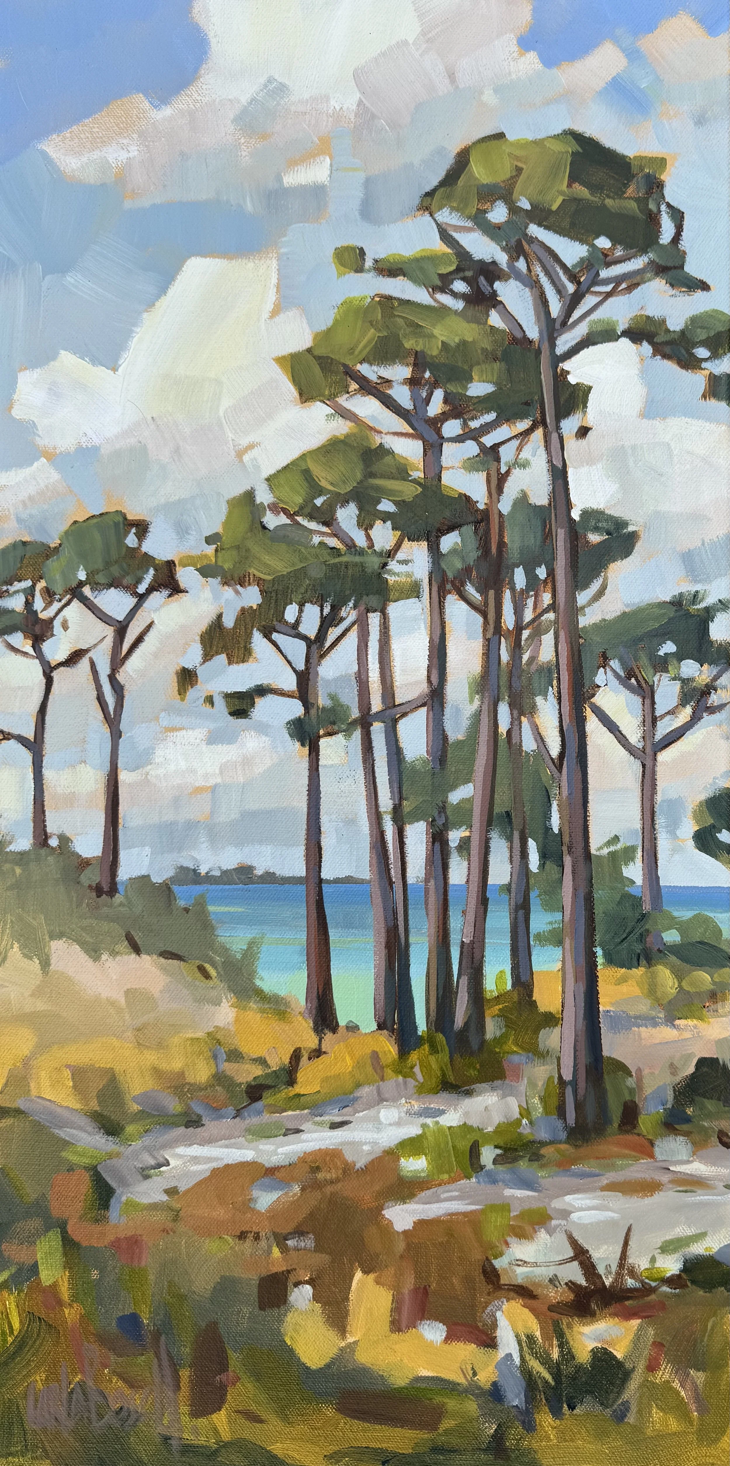 Saint Joseph’s Bay Colors-- Carla Bosch -- 24x 12-- acrylic