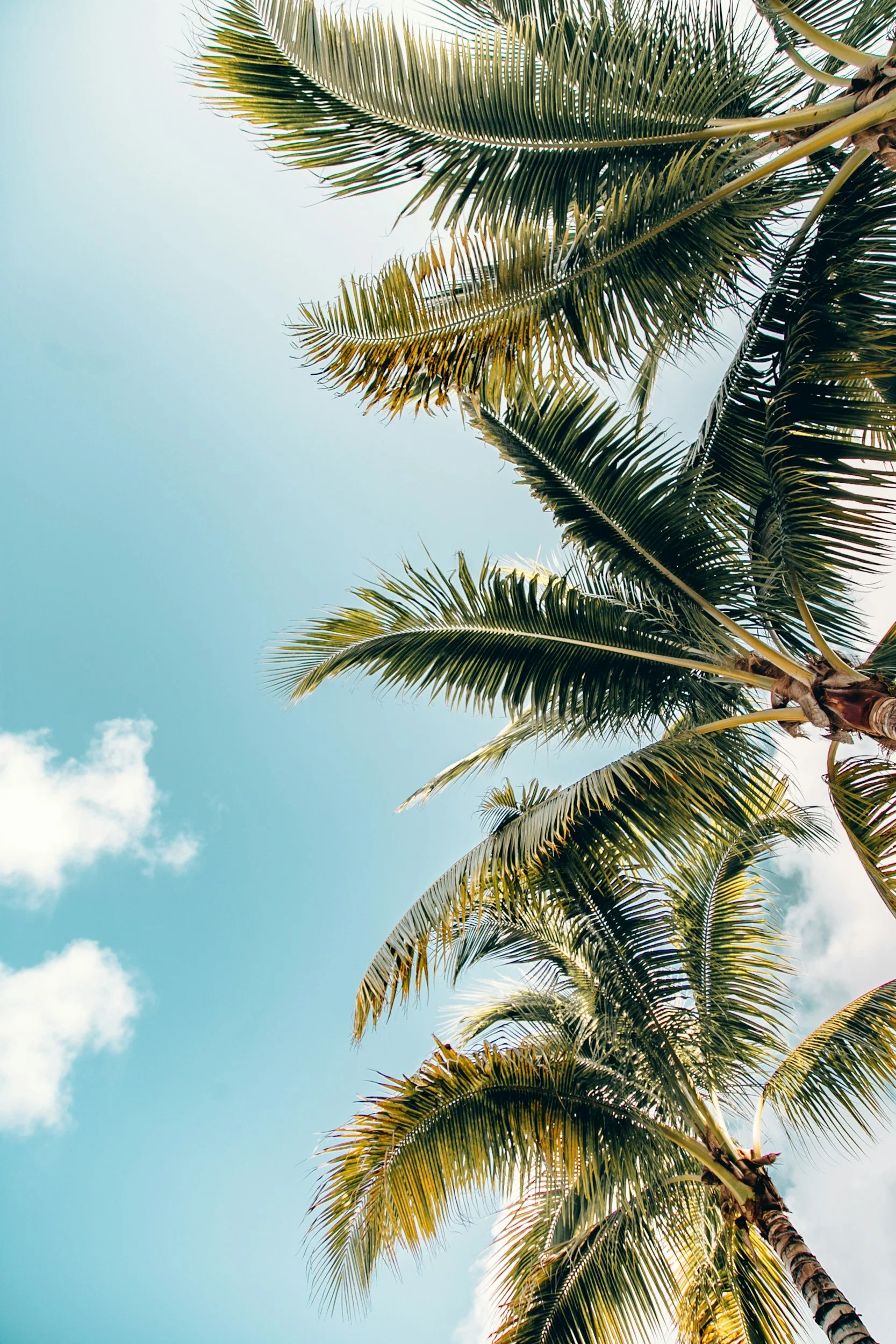 Why you want structure, routines, and habits