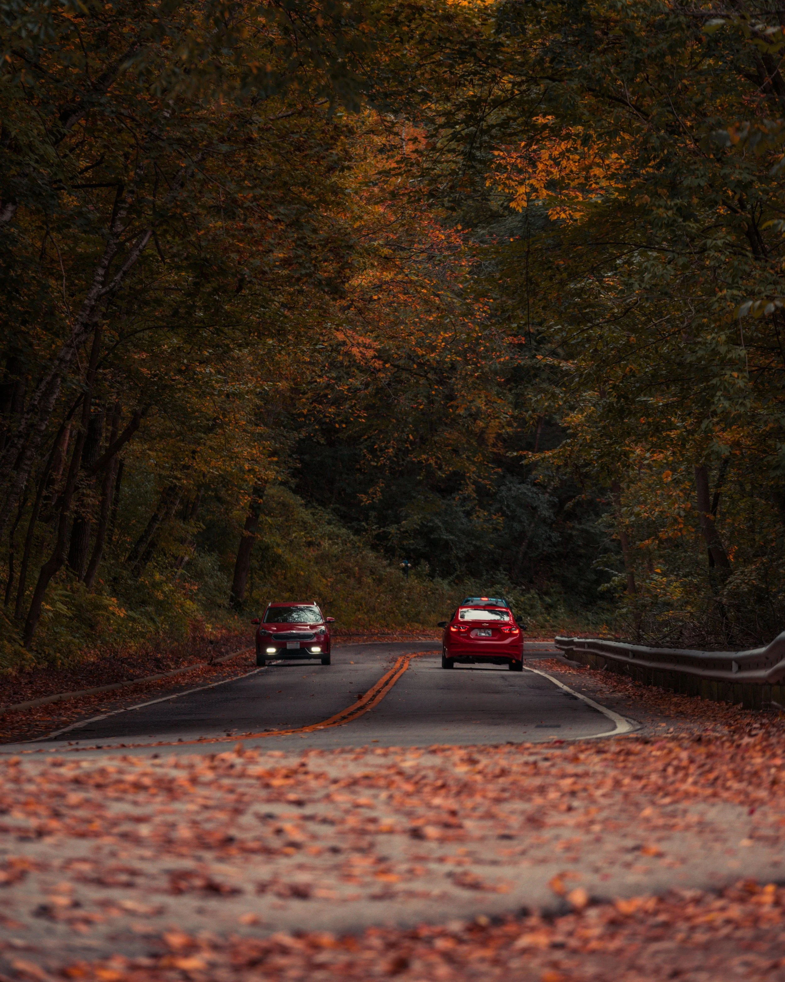 Why you suddenly start to see the car you just bought everywhere