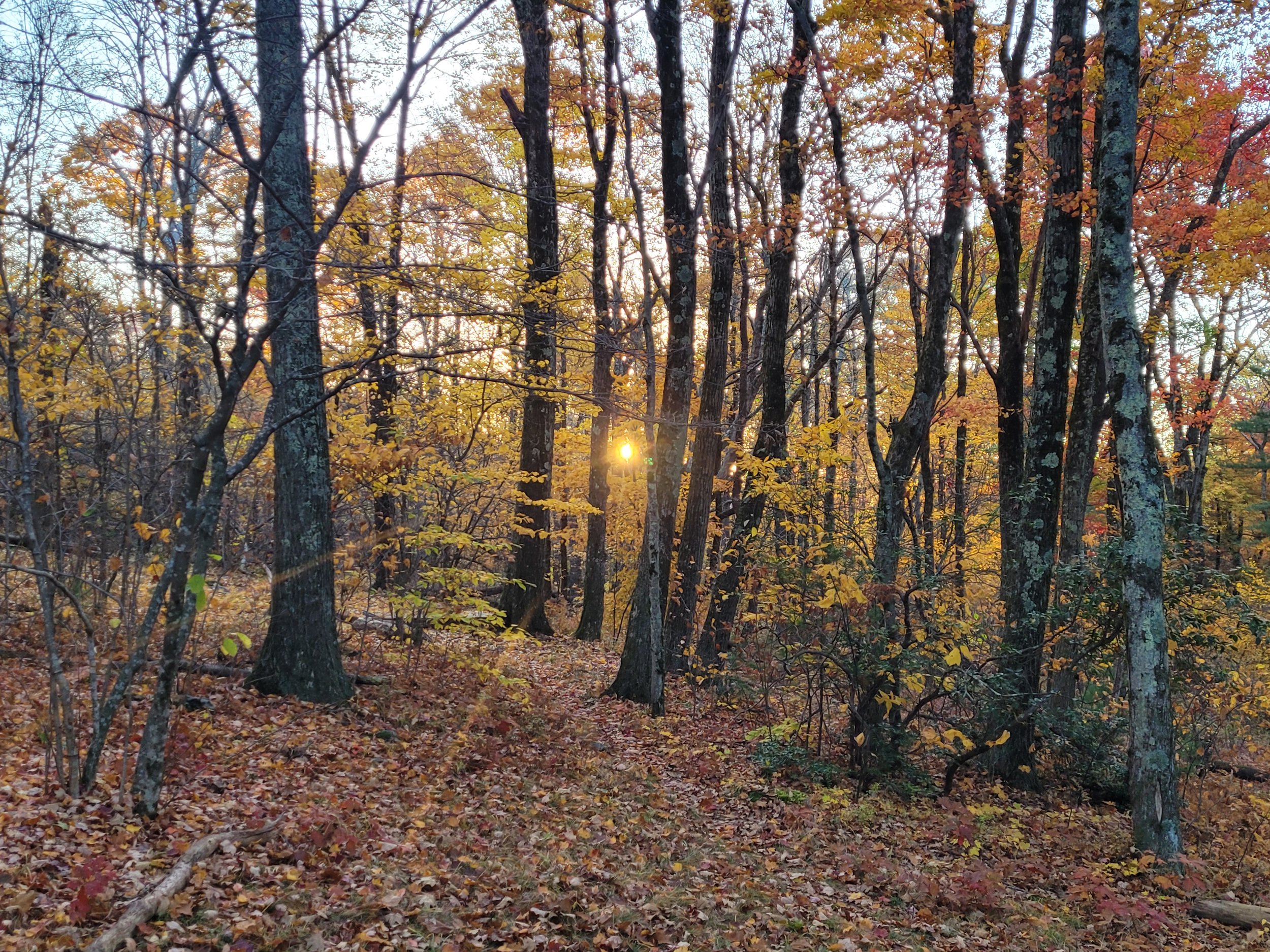 Welcome Autumn