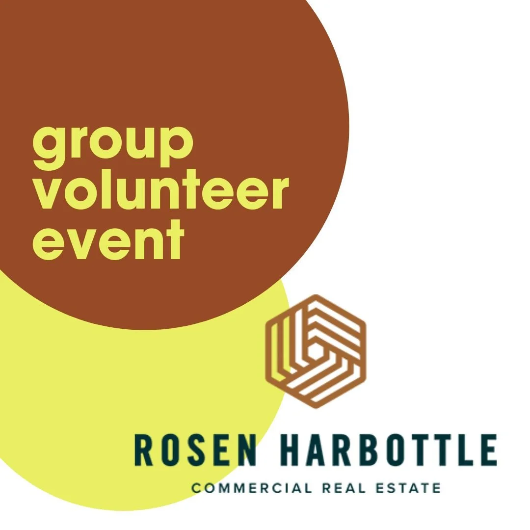 Rosen Harbottle Repair Day