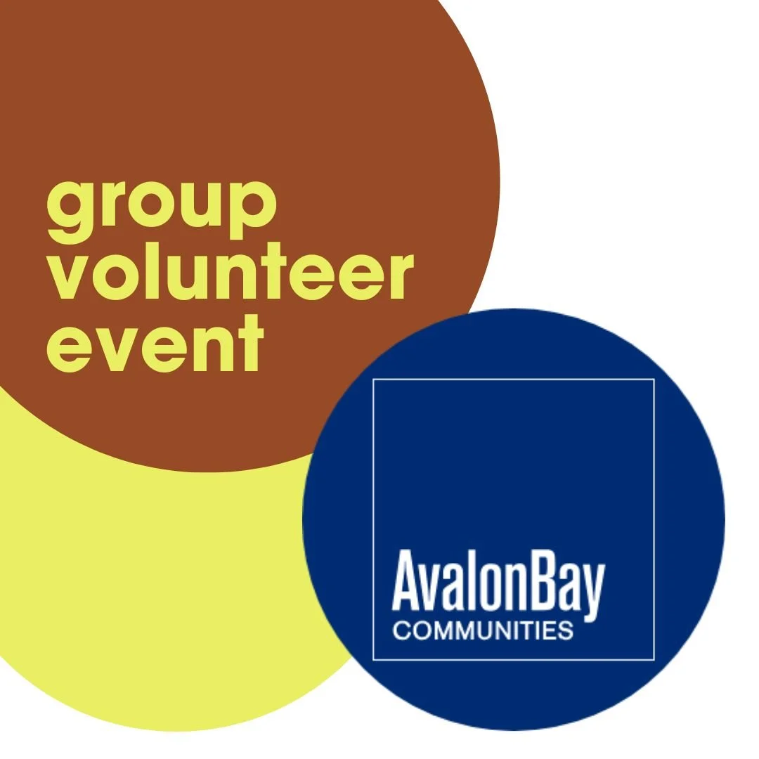 Avalon Bay Repair Event