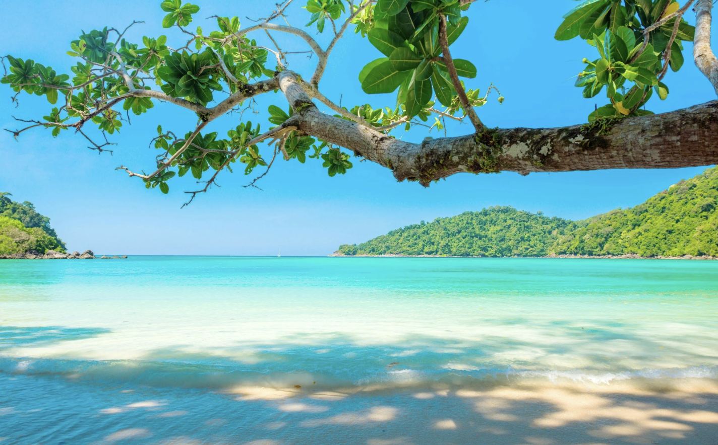 How to Plan a Sustainable,         Eco-Luxury Honeymoon