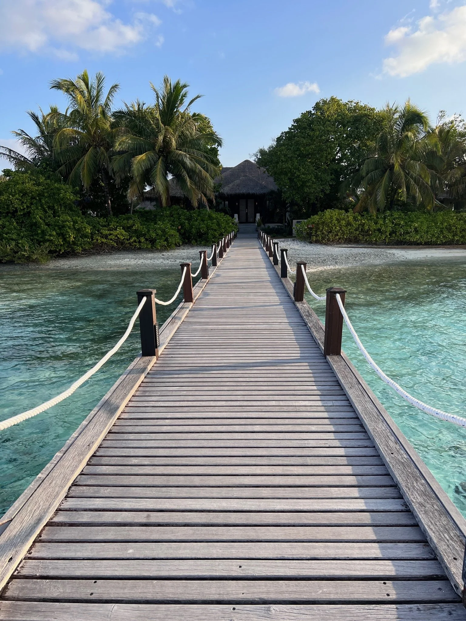 &nbsp;&nbsp;5 Signs You Need a Travel Advisor for Your Next Trip   