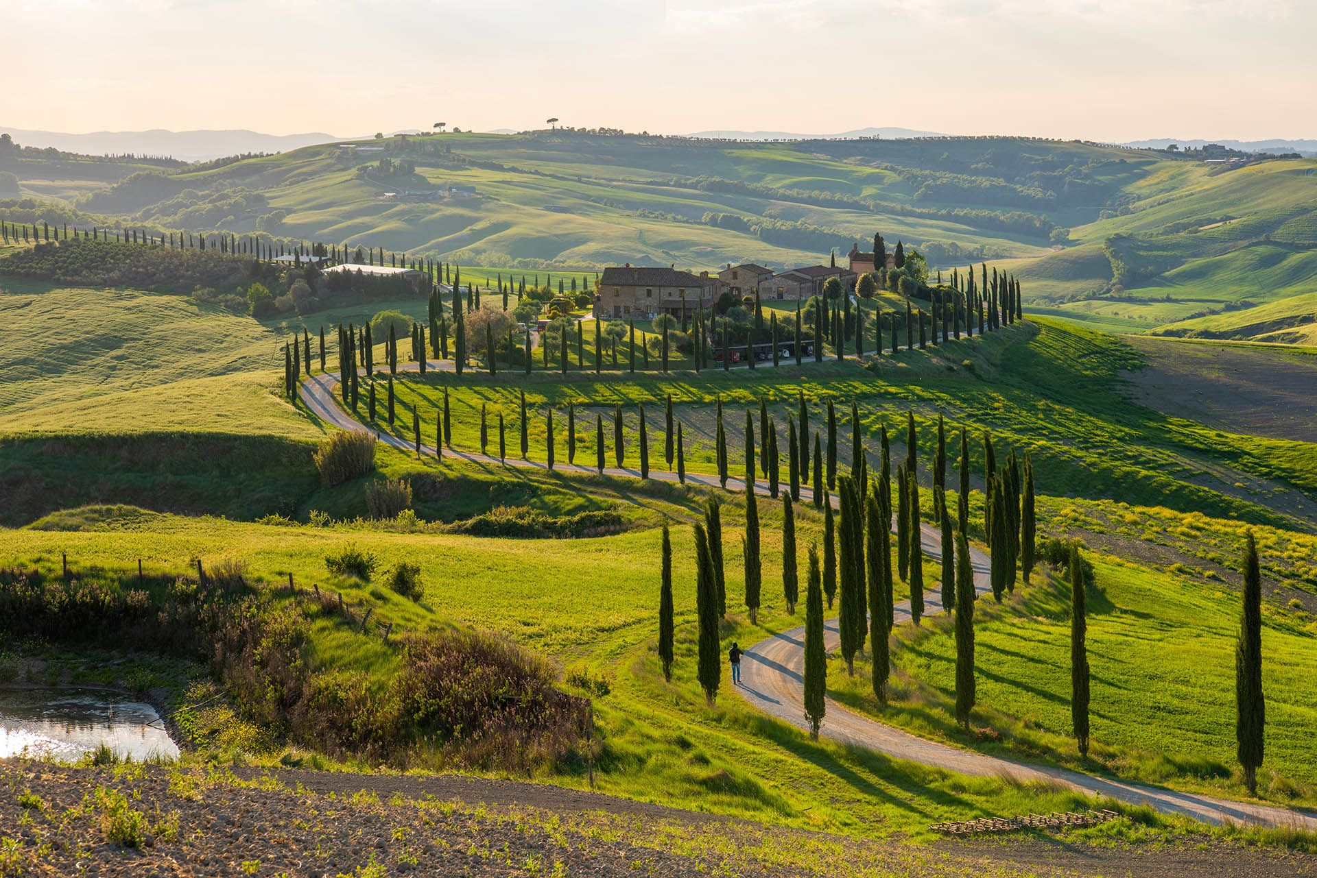 A windy path leading to multiple villas and vineyards in the countryside of Tuscany, Italy