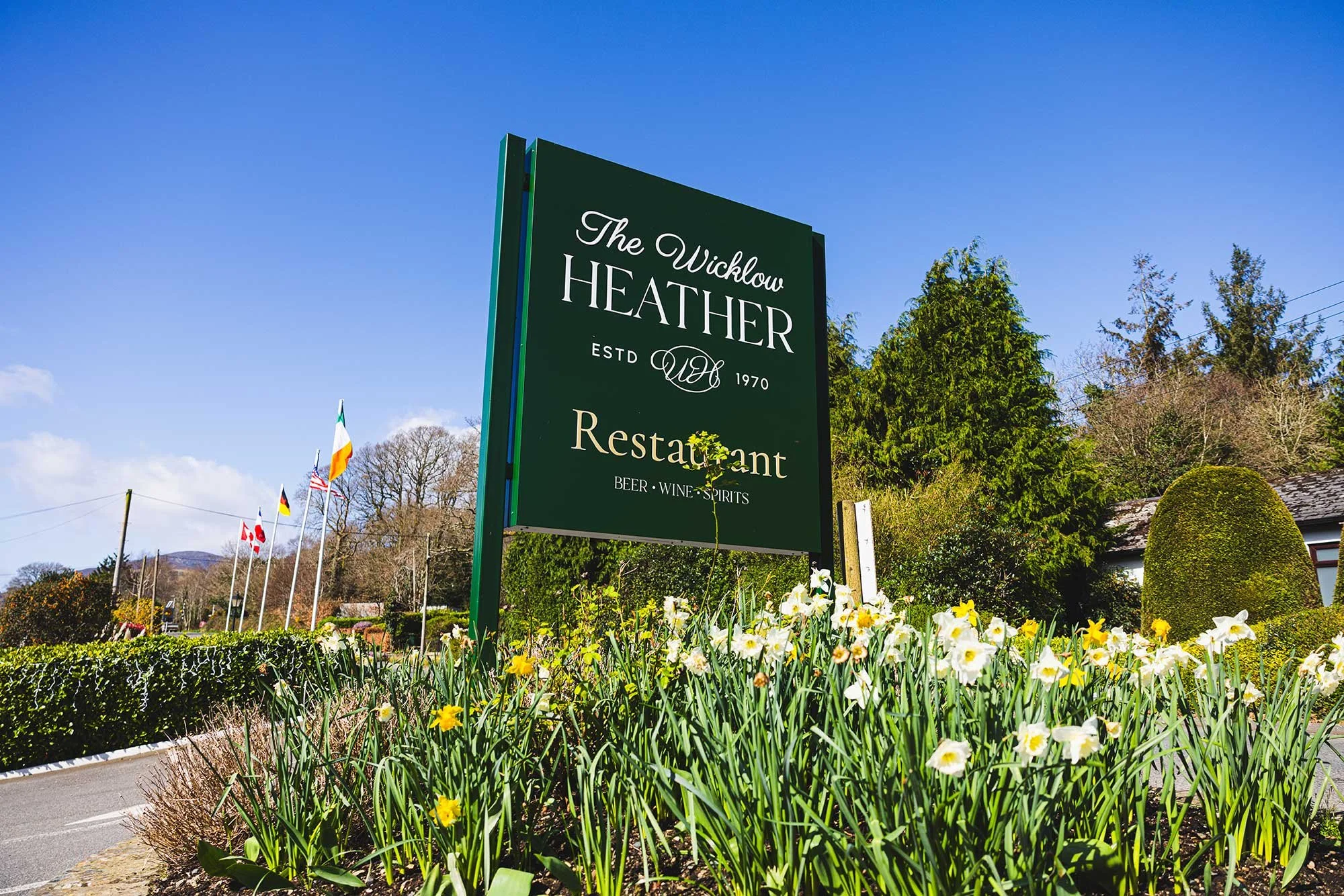 The Wicklow Heather sign in a bed of daffodils, with the Irish flag in the background