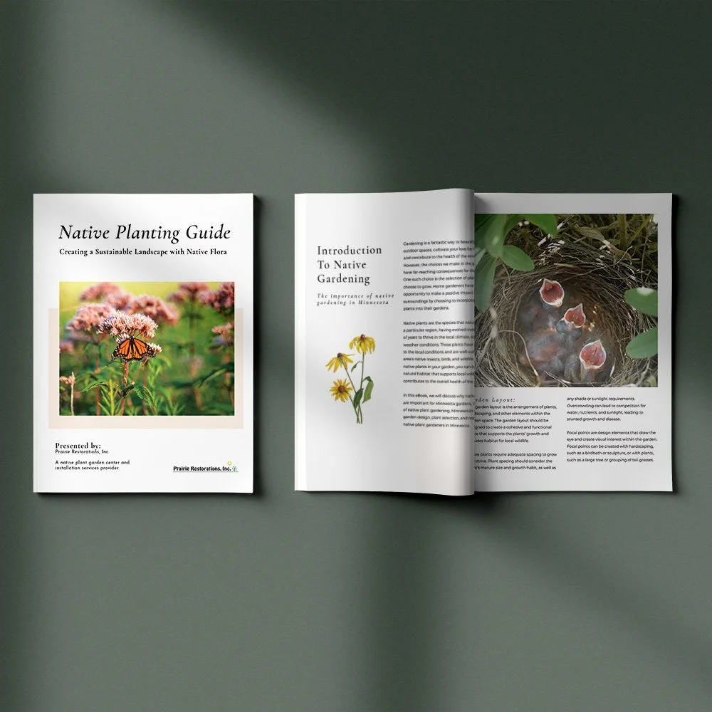 Lead Magnet EBook.jpg